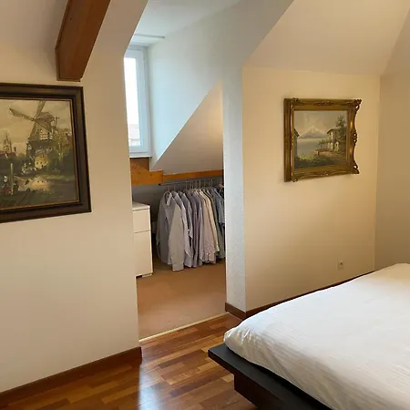 Belle Avec Piscine Proche De Geneve Villa