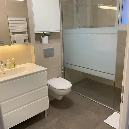 Belle Avec Piscine Proche De Geneve Villa *