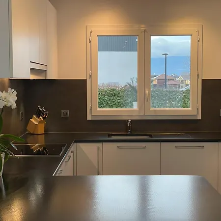 Belle Avec Piscine Proche De Geneve Veigy-Foncenex