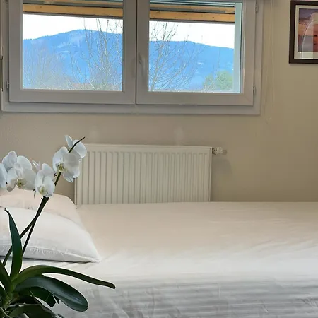Belle Avec Piscine Proche De Geneve