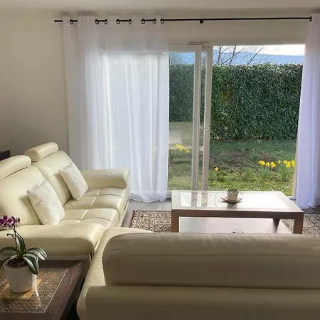 Belle Avec Piscine Proche De Geneve Villa