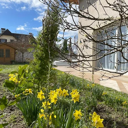 Belle Avec Piscine Proche De Geneve * Veigy-Foncenex